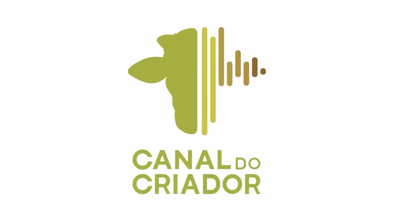 CANAL DO CRIADOR